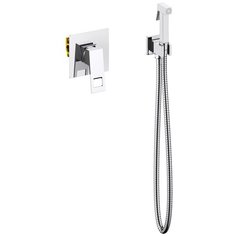 Встраиваемый смеситель с гигиеническим душем Timo Briana 7189/00SM