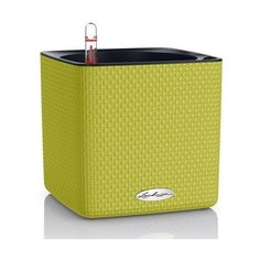 Кашпо Cube 16, лайм, с системой автополива Lechuza