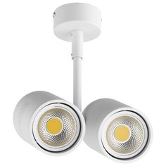 Спот Rullo 214446 Lightstar