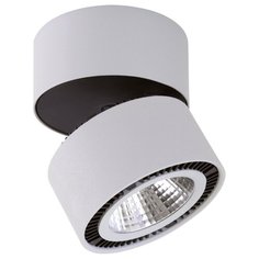 Спот Forte Muro 214859 Lightstar