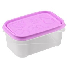 КОНТЕЙНЕР 0,7л 157х106х65мм с крышкой полипропилен [4311735] Бытпласт