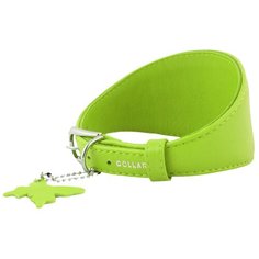 Ошейник COLLAR Glamour для борзых 3464 23-27 см лайм