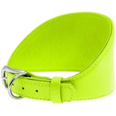 Ошейник WAU DOG Glamour для борзых 15 мм 29-35 см салатовый