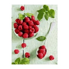 Картина по номерам Paintboy PK 68027 Малина и мята 40х50 см