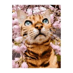 Картина по номерам Paintboy PK 68044 Весенняя прогулка кота 40х50 см