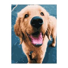 Картина по номерам Paintboy GX 36599 Очаровательный щенок 40х50 см