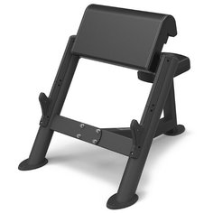 Скамья Скотта Spirit SP-4206