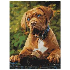 Алмазная мозаика ArtXobby EF1161, 30X40, на подрамнике, квадратные стразы, полная выкладка