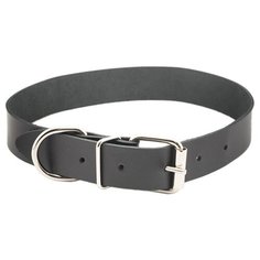 Ошейник для собак Дарэлл "ЧИП", натуральная кожа, 25 мм x 40-52 см