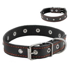 Ошейник для собак "Homepet", простроченный, с украшениями (натуральная кожа), цвет: черный, 25 мм x 35-47 см
