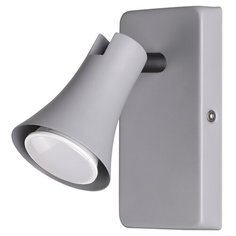 Спот REANNA 3825/1W Odeon Light