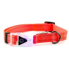 Ошейник для собак GREAT&SMALL со светящейся застежкой 350-450мм оранжевый