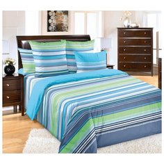 Постельное белье «Дакота 3», бязь (2.0) Текс Дизайн