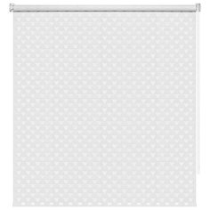 Рулонные шторы ДЕНЬ НОЧЬ 40 см х 160 см Белый Круг DECOFEST