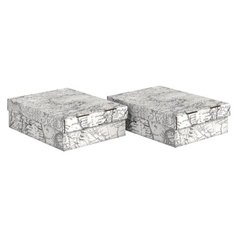 Набор коробов картонных 2 шт., 25*33*9 см, EXPEDITION Valiant