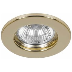 Встраиваемый светильник Feron DL10 15110
