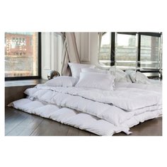 Одеяло German Grass White Familie Down, 200х200 теплое, с бортиком