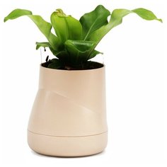 Горшок цветочный "Hill Pot" большой, цвет: кремовый Qualy