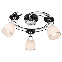 Спот Silver Light Austerity 223.59.3
