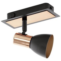 Спот Eglo Barnham 94584