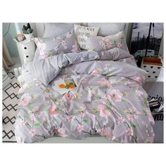 КПБ Cleo Поплин "Pure Cotton" евро 200*220*1 220*240*1 50*70*2 70*70*2 31/093-PC