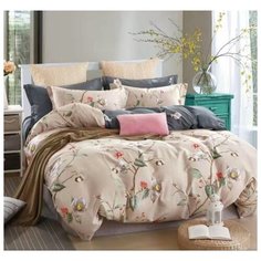 Комплект постельного белья 2-х спальный CANDHL15 Candies