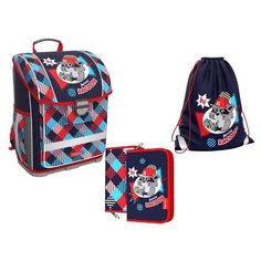 Ученический ранец с пластиковым дном ErichKrause® ErgoLine® 16L Funny Racoon с наполнением