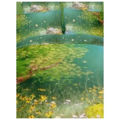 Постельное белье семейный размер "Волшебные сны", сатин, семейныйполевыецветы