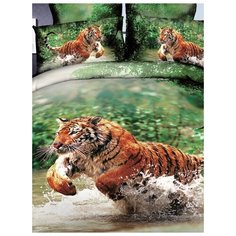 Постельное белье семейный размер "Волшебные сны", сатин, семейныйтигр70-70