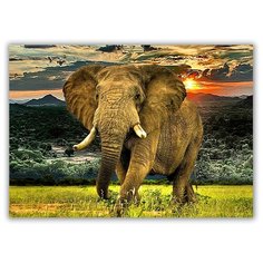 Магнит на холодильник малый - A5, Слон идёт по саванне Drabs