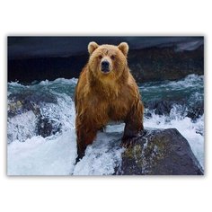 Магнит на холодильник большой - A4, Медведь на водопаде Drabs