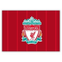 Магнит на холодильник малый - A5, ЧМ по футболу 2018, форма - Ливерпуль Drabs