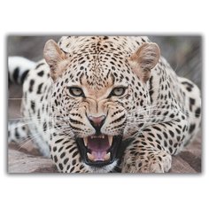 Магнит на холодильник большой - A4, Леопард Drabs