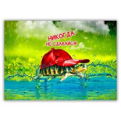 Магнит на холодильник малый - A5, Черепаха в бейсболке Drabs