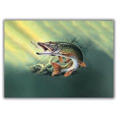 Магнит на холодильник большой - A4, Щука клюет Drabs