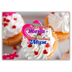 Магнит на холодильник малый - A5, Идеальная жена-Счастливый муж Drabs