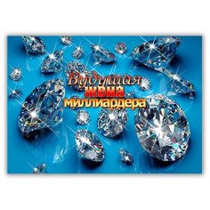 Магнит на холодильник малый - A5, Будущая жена миллиардера Drabs