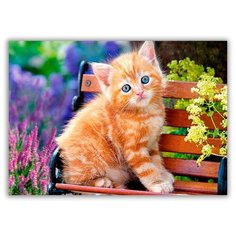 Магнит на холодильник большой - A4, котенок на скамейке Drabs