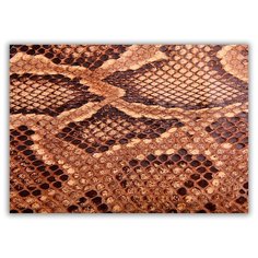 Магнит на холодильник большой - A4, Текстура кожа змеи Drabs
