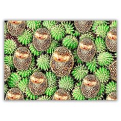 Магнит на холодильник большой - A4, Ежики и кактусы Drabs