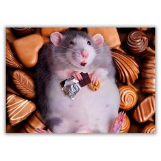 Магнит на холодильник большой - A4, Мышь с шоколадкой Drabs