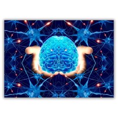 Магнит на холодильник большой - A4, Мозг в руках Drabs