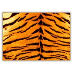 Магнит на холодильник малый - A5, Текстура шкура тигра Drabs
