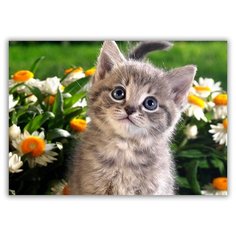 Магнит на холодильник малый - A5, котенок в цветах Drabs