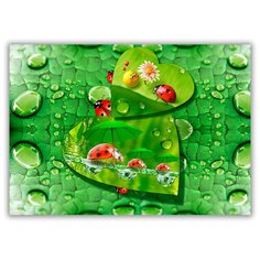 Магнит на холодильник малый - A5, Роса и божья коровка Drabs