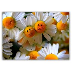 Магнит на холодильник большой - A4, Ромашки-смайлики Drabs