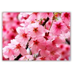 Магнит на холодильник малый - A5, Сакура Drabs