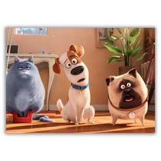 Магнит на холодильник малый - A5, тайная жизнь домашних животных, 2 собаки и кот Drabs