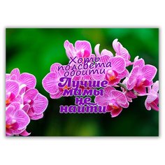 Магнит на холодильник малый - A5, Лучше мамы не найти Drabs