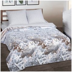 Постельное белье/Хранитель снов (Поплин-De Luxe)/АртПостель/Размер 1,5 сп